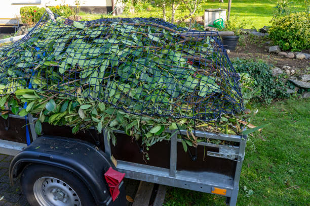 Best Recycling Services for Junk  in Lancaster, SC